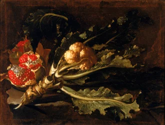 Granatapfel und Kohl